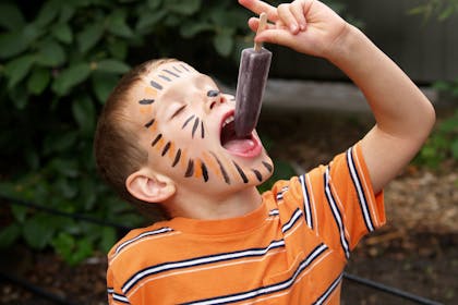 Boy with face painted like tiger in orange stripe t-shirt eating ice lolly