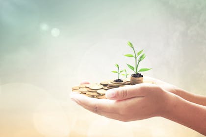 Hands holding money and plants