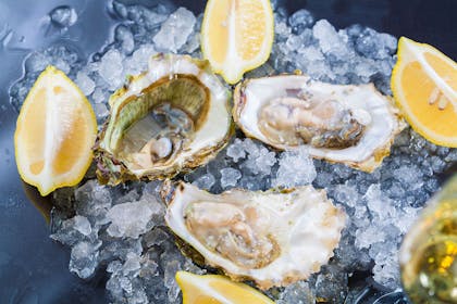 Oysters and lemons on ice