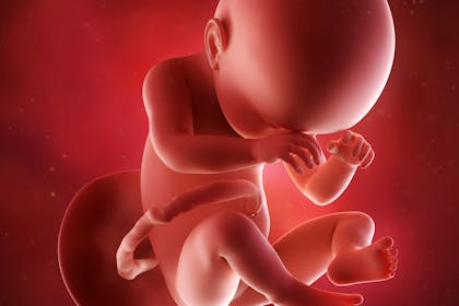 38 Weeks Pregnant | Pregnancy Week-By-Week - Netmums 38 Weeks Pregnant | Pregnancy Week-By-Week - Netmums