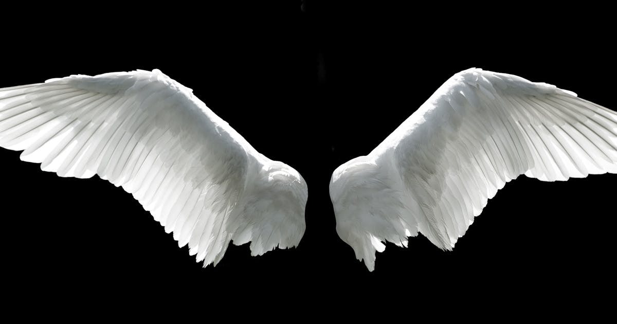 christmas-crafts-how-to-make-angel-wings-netmums