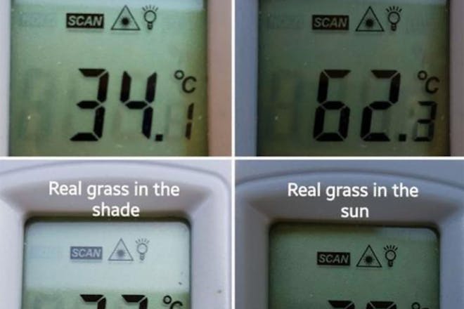 Temperatures of artificial grass and real grass 