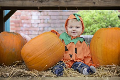 A pumpkin baby enjoys Tulleys Pumpkin Farm