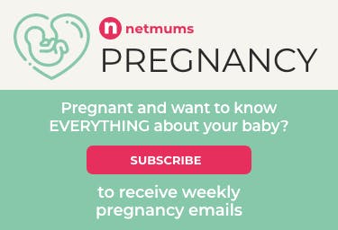Pregnancy NL banner image