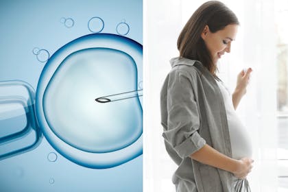 IVF / pregnant woman