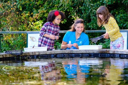 Pond dipping at WWT Castle Espie
