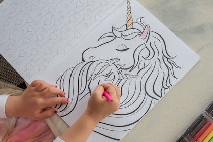 Girl colouring in pictures of unicorns
