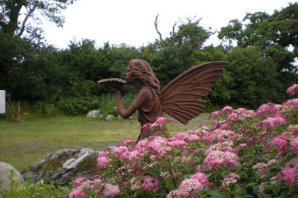 Fairies at Gypsy Wood Park