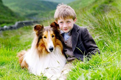 Lassie movie poster