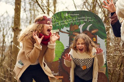 The Gruffalo Trail at Salcey Forest
