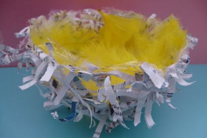 Paper nest