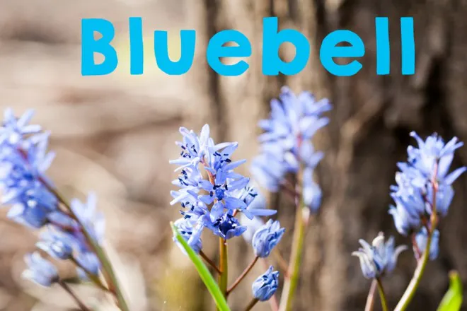 32 Pretty Spring Baby Names - Netmums