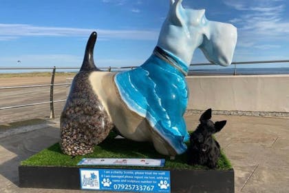 Scotties by the Sea, St Andrews
