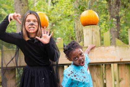 Two young girls in face paints pose in front of pumpkins at Howl-oween at Bristol Zoo Project 