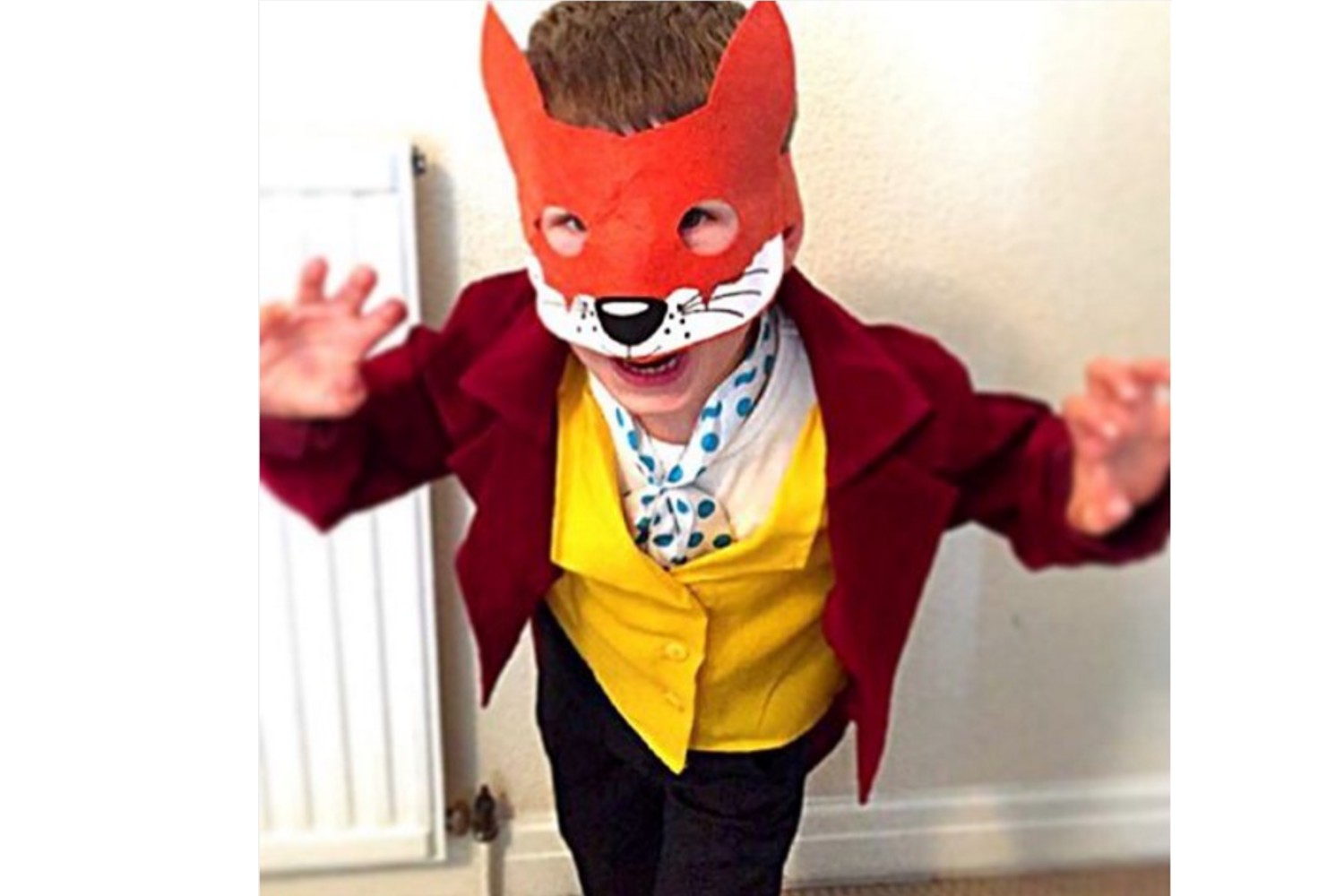 Fantastic mr clearance fox fancy dress