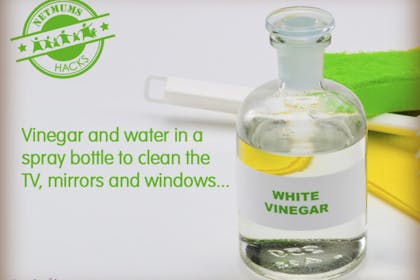 white vinegar in glass bottle with sponge