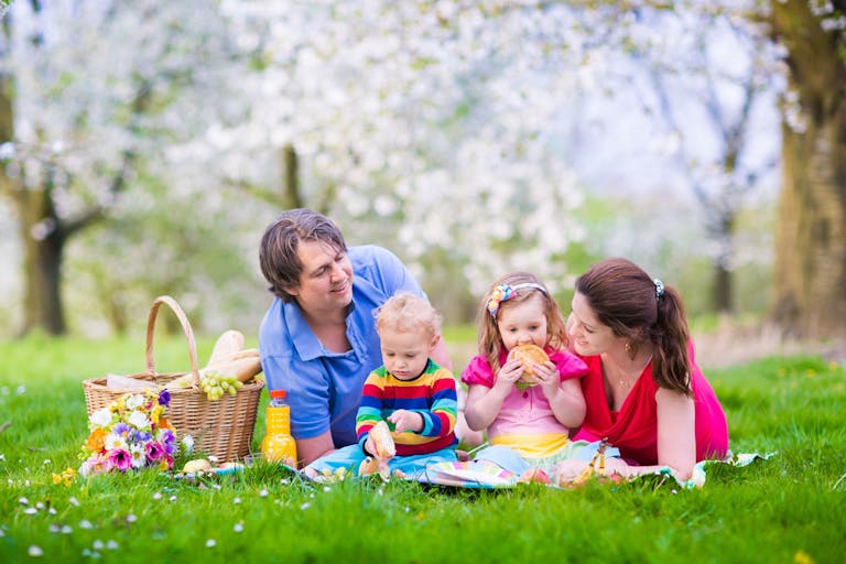 Family picnic with mum, dad, toddler and older child