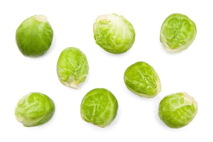 sprouts to show size of your baby at 11 weeks pregnant