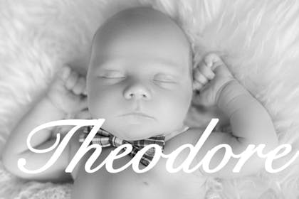 posh baby name Theodore
