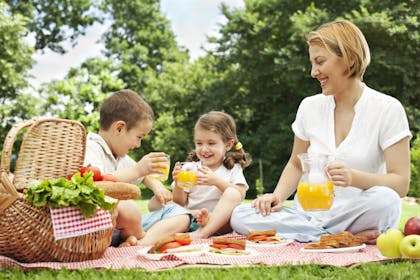 family picnic 