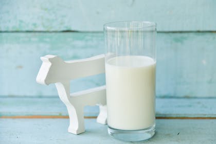Glass of milk next to wooden cow