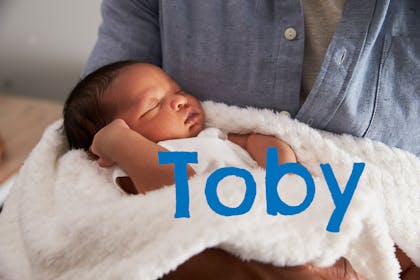 Baby name Toby