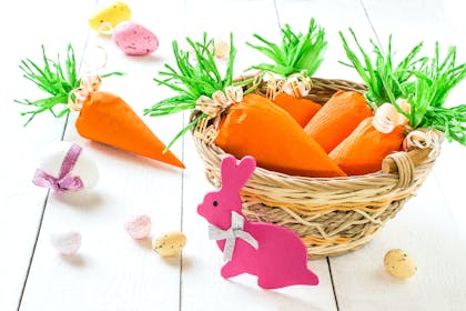 Carrot craft