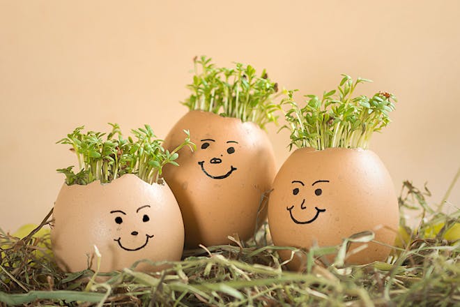 DIY - Cress cups with a face