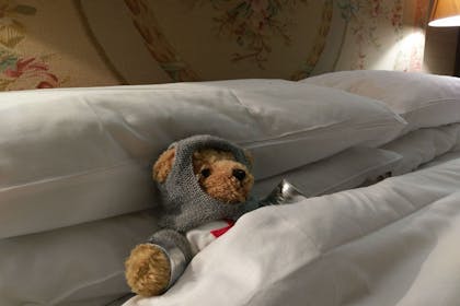Langley Bear relaxes in a luxury bed in Langley Castle Hotel, Hexham
