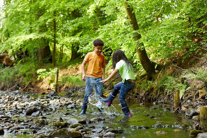 Children kicking water in woods