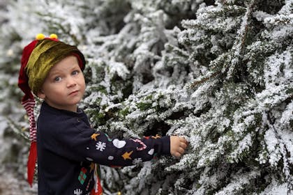 Horizontal picture of boy at Lapland UK with snowy trees