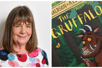 Julia Donaldson interview: 'If I never got another book idea, I