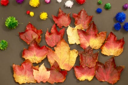 Autumn leaves craft on brown paper with colourful pom poms 