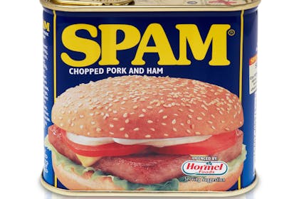 Can I Eat Spam While Pregnant? 