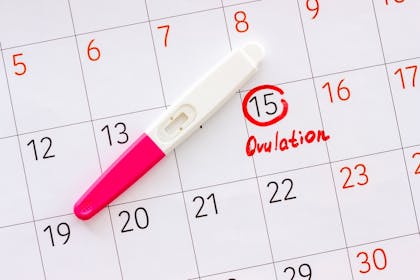 Ovulation calendar