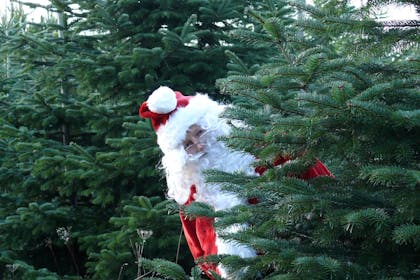 See Santa at Church Farm, Wirral