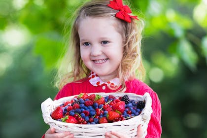 little girl carrying basket of berries
