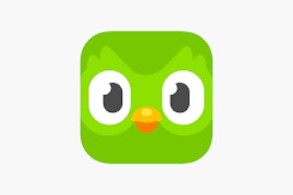 Duolingo logo of a green owl