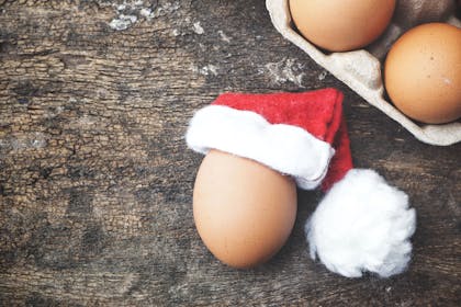 Boiled egg in Santa hat Christmas