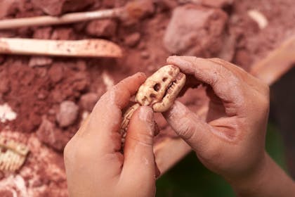 Child digging up dinosaur in toy fossil dig