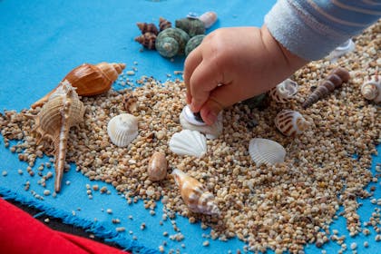 Toddler playing with sand and shells