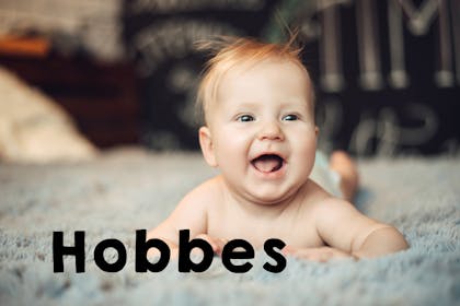 Hobbes baby name