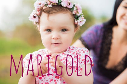 Marigold baby name