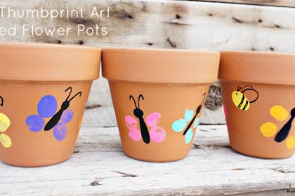 thumbprint butterflies and bees flowerpots