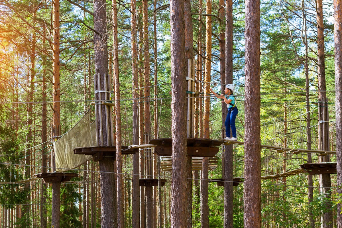Top 21 Places For A Tree Top Adventure Netmums
