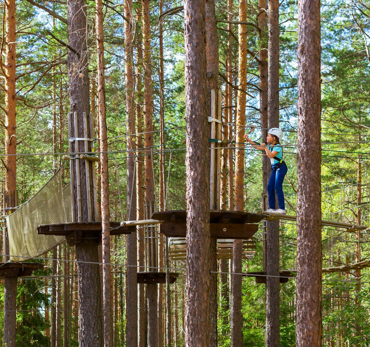 Top 21 Places For A Tree Top Adventure Netmums Top 21 Places For A Tree Top Adventure Netmums