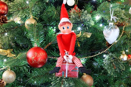 Elf on the Shelf sitting on Christmas Decorations in the Christmas tree