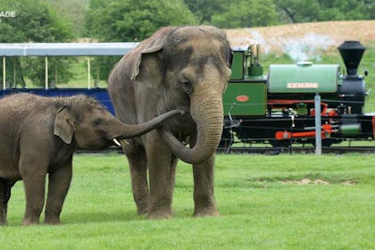 4. Whipsnade Zoo, Bedfordshire