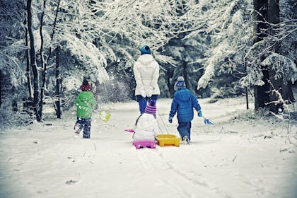 Family walking in snow covered woods