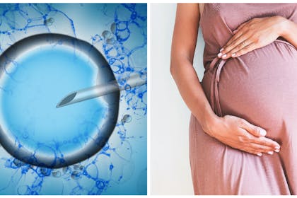 Fertility treatment / pregnant woman 
